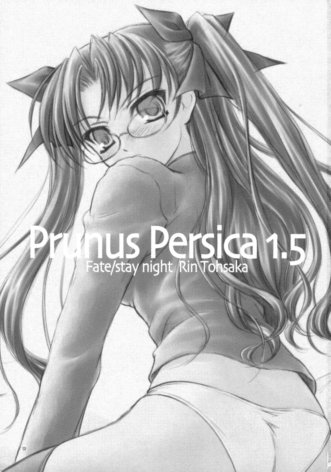 (COMIC1☆2)[[Yakan Honpo & Yakan Hikou (Inoue Tommy)] Prunus Persica 1.5 (Fate/stay night) page 2 full