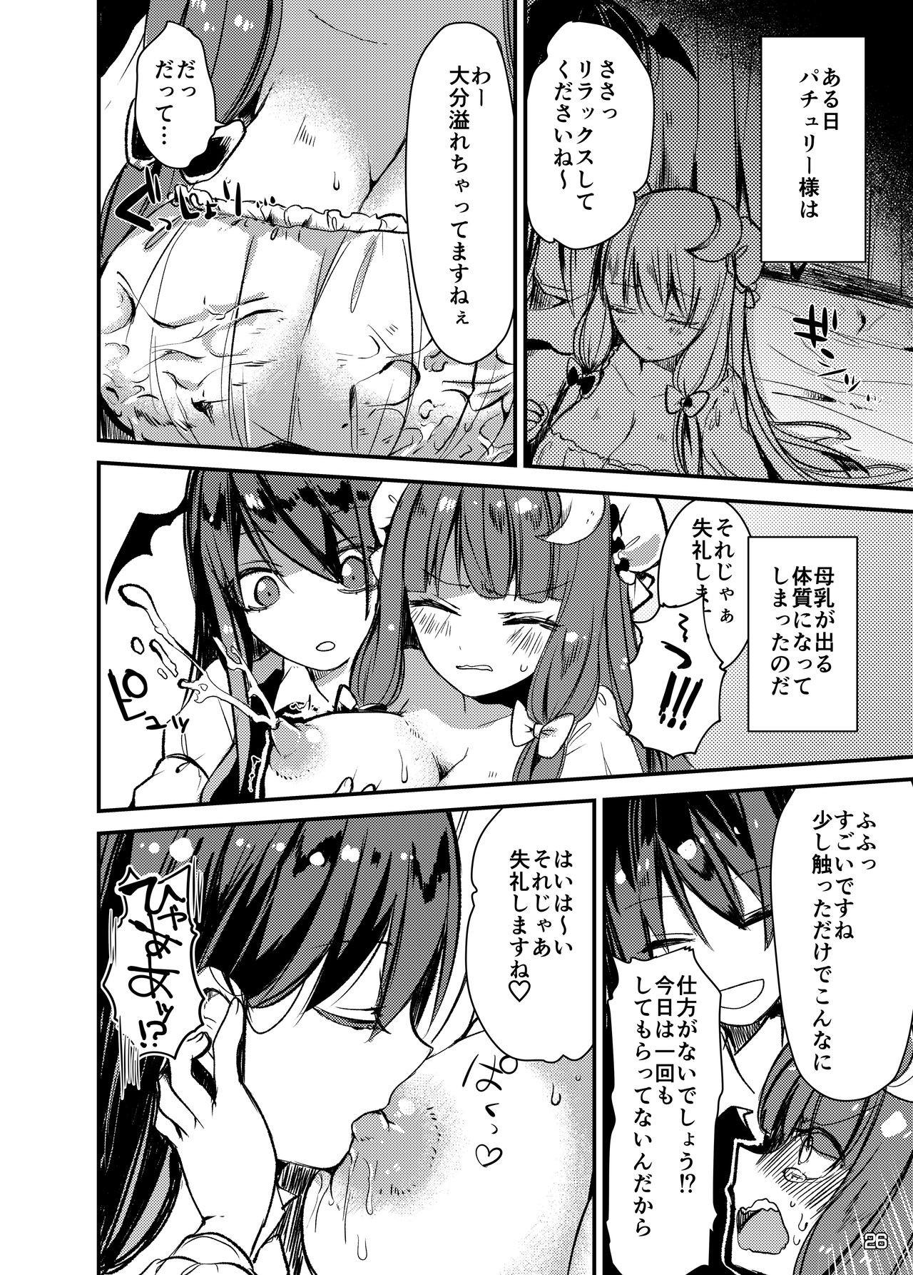 [Nijusei, Ohnegs (Various)] Touhou Sakunyuu Goudoushi Demo Gensoukyou no Musume no Sakunyuu nara Chotto Mitai kamo... (Touhou Project) [Digital] page 25 full