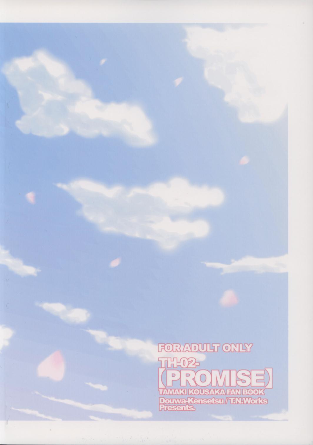 (C69) [DOUWA-KENSETSU (Nomura Teruya)] PROMISE (ToHeart2) page 26 full