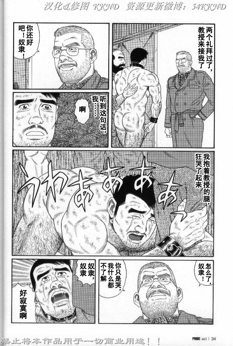 [Tagame Gengoroh] PRIDE Vol. 3 [Chinese] page 27 full