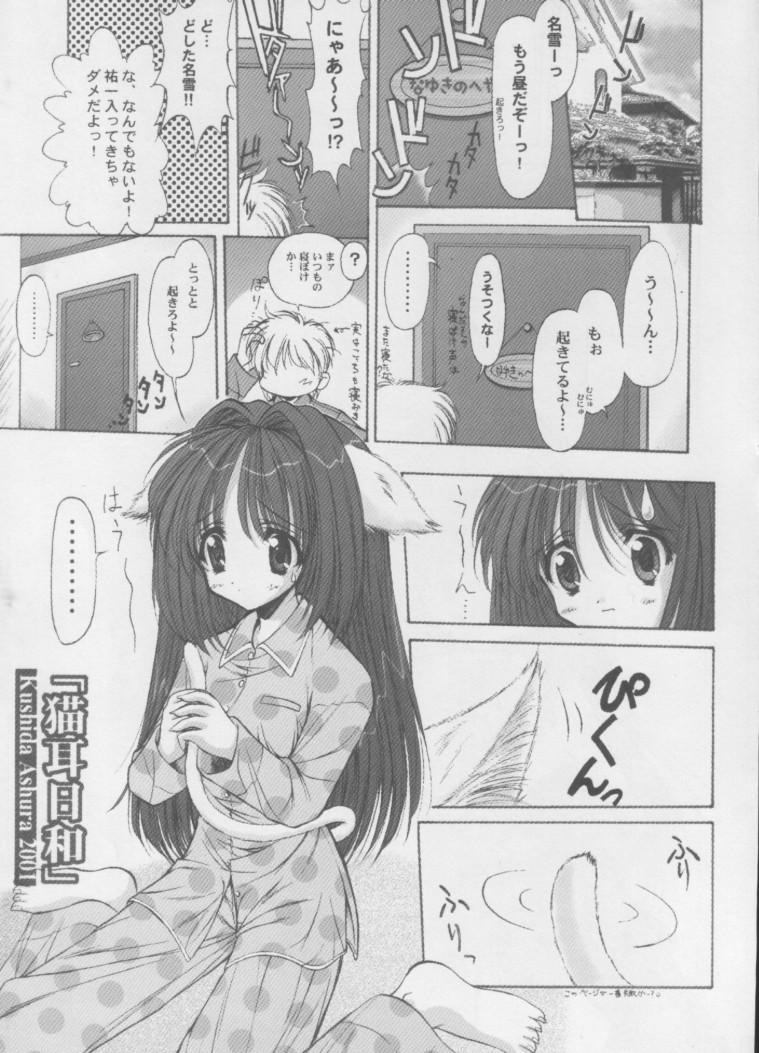 [ASYURAYA (Kushida Ashura)] Neko Neko Hot (Kanon) page 6 full