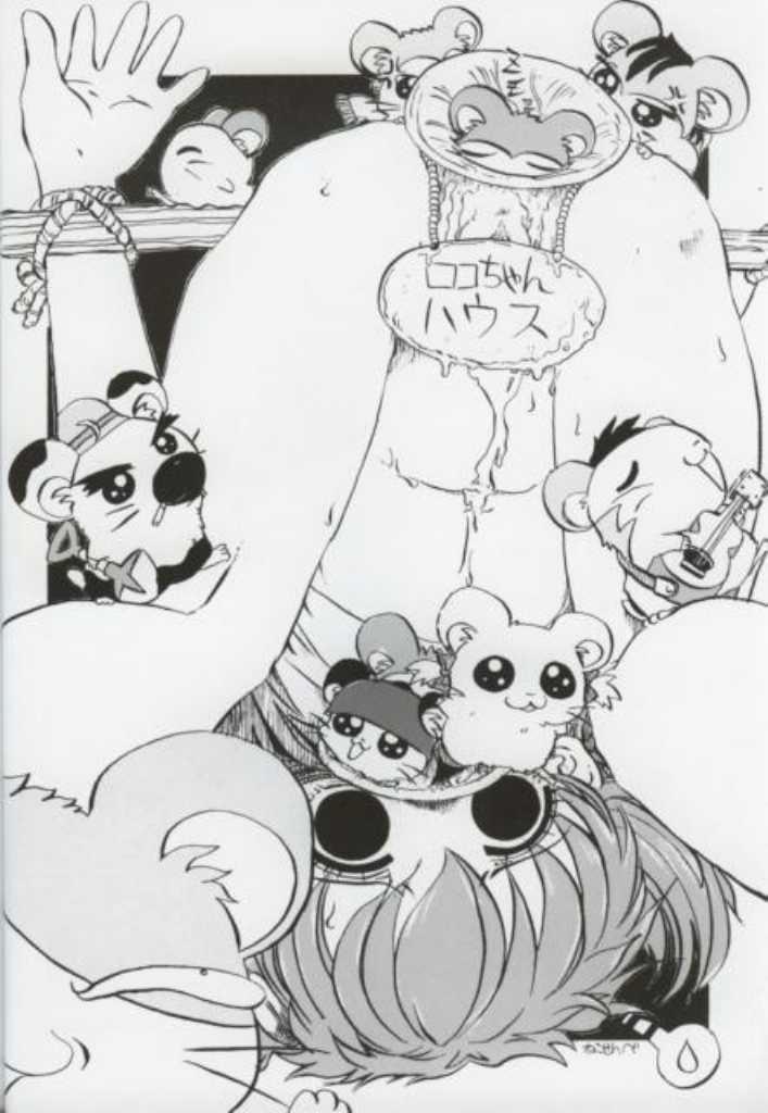 (C61) [Nipopo Crisis (Genka Ichien)] Tottoto Hametarou - Otoko-you (Tottoko Hamtaro) page 19 full