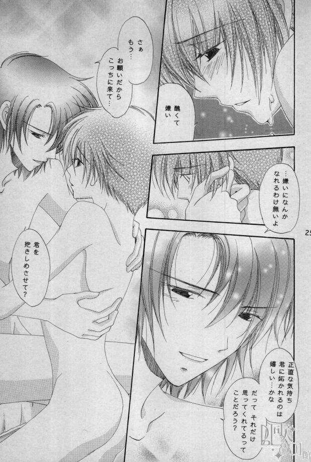 [Mutsuharu (Kagami Haruki)] Love Scramble (Gundam SEED DESTINY) page 20 full