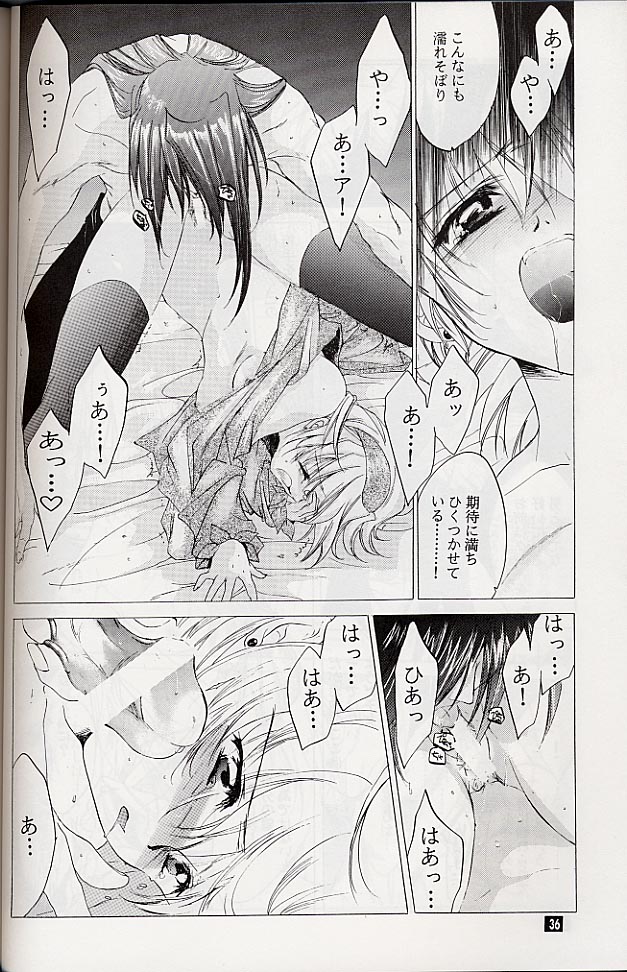 (C58) [Toko-ya (Kitoen)] Ware wa Kurashi, Saredo Uruwashi (Breath of Fire IV) page 35 full