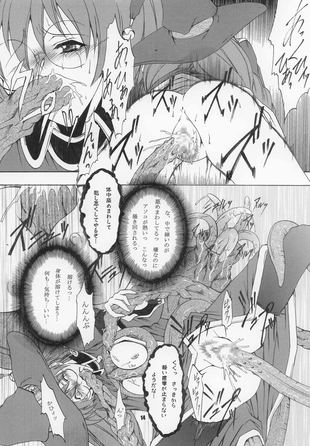 (C63) [FAKESTAR (Miharu)] VIOLET FIZZ (Shikigami no Shiro) page 14 full