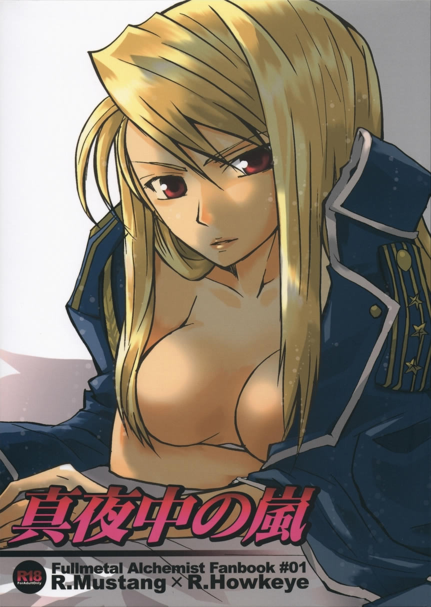 (SC25) [Ao Hana (Aoi Remi)] Mayonaka no Arashi (Fullmetal Alchemist) page 1 full