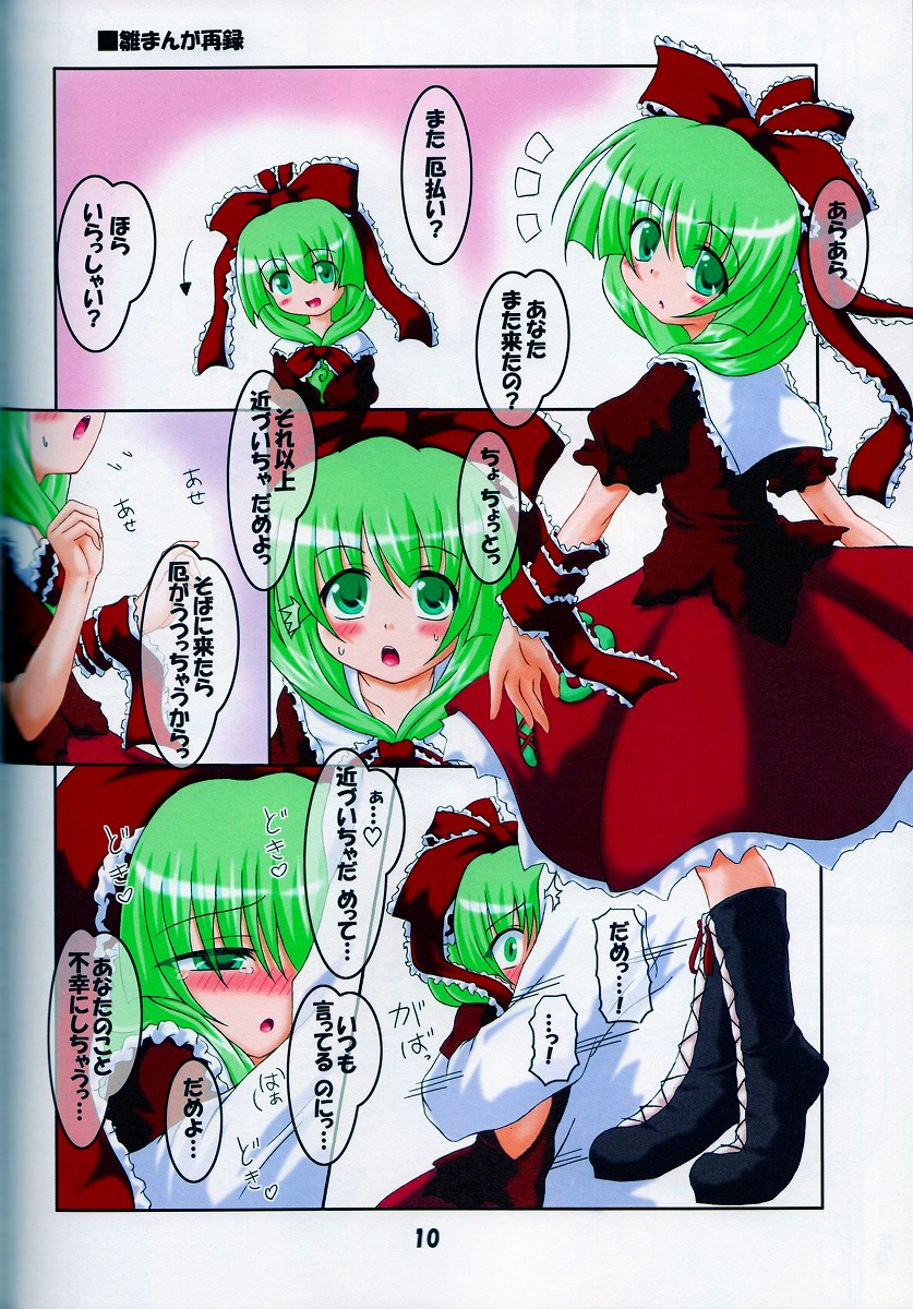 (C73) [Schwester (Shirau Inasaki) Rollin 27 (Touhou Project) page 9 full