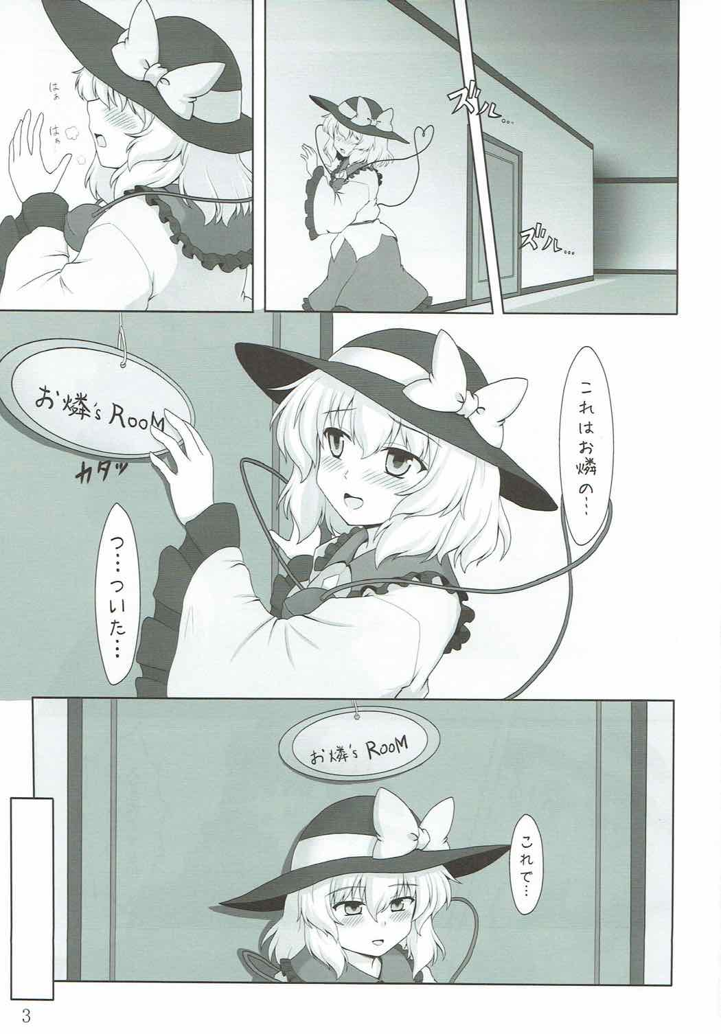 (Reitaisai 11) [E project (Go3)] Cat Paranoia (Touhou Project) page 2 full