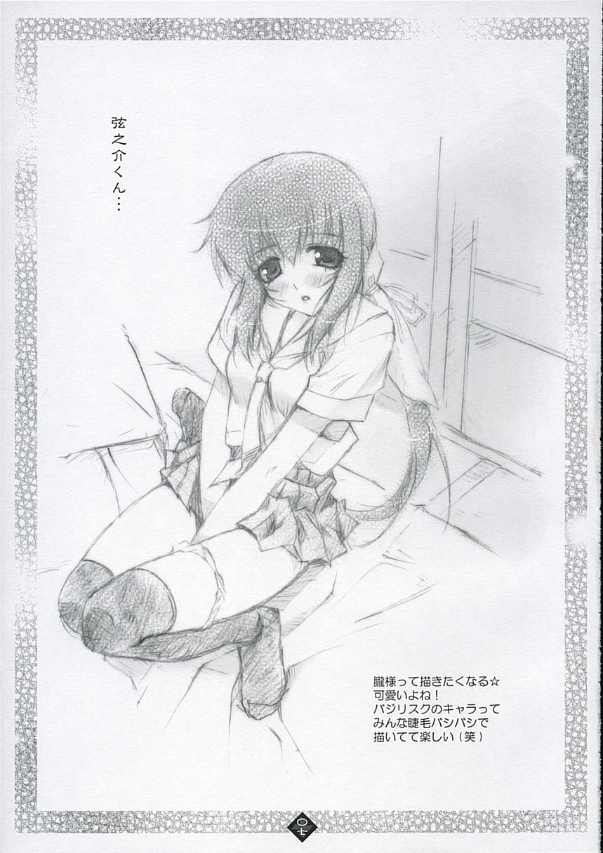 (SC29) [Shikkoku no JPS (Hasumi Elan)] SKYBLUE & BLACK (Basilisk) page 6 full