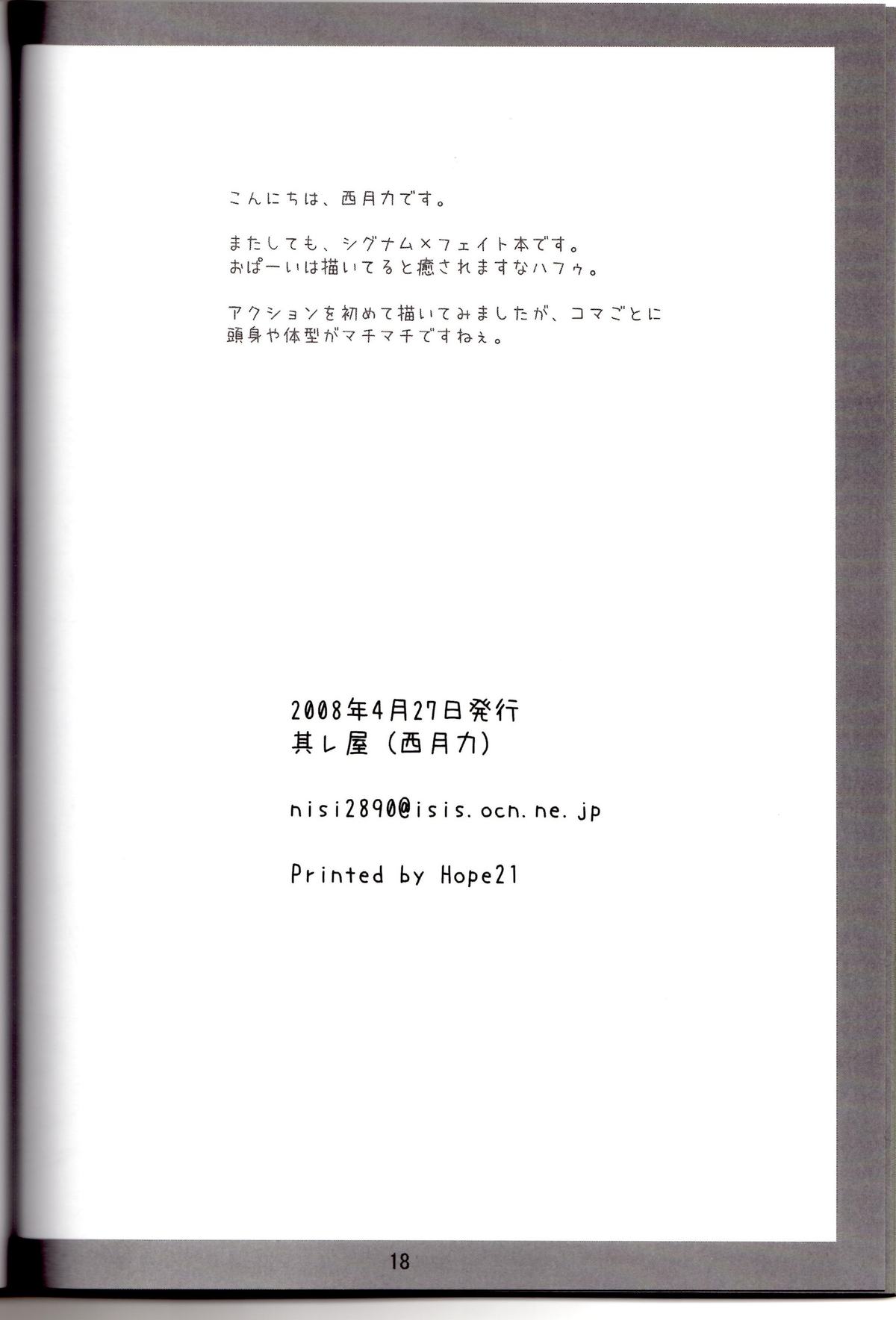 (COMIC1☆2) [Soreya (Nishitsuki Tsutomu)] SWORD DANCERs II (Mahou Shoujo Lyrical Nanoha) page 17 full