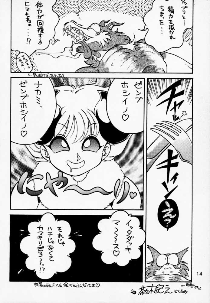 (C52) [Tange Kentou Club (Various)] Funky Animal The Super (Darkstalkers) page 15 full