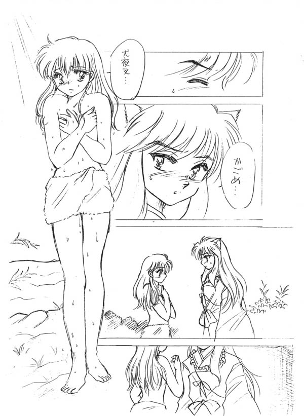 (C67) [Pink Wolf (Momomiya Anzu ,Inugami Rou)] Abunai Douyobi (Inuyasha) page 4 full