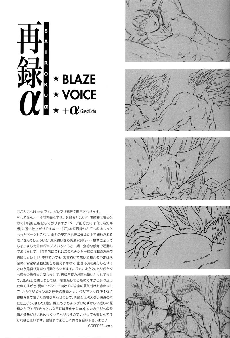 [GREFREE (ema)] Sairokua (Blaze, Voice, +A) (DRAGON BALL Z) page 19 full