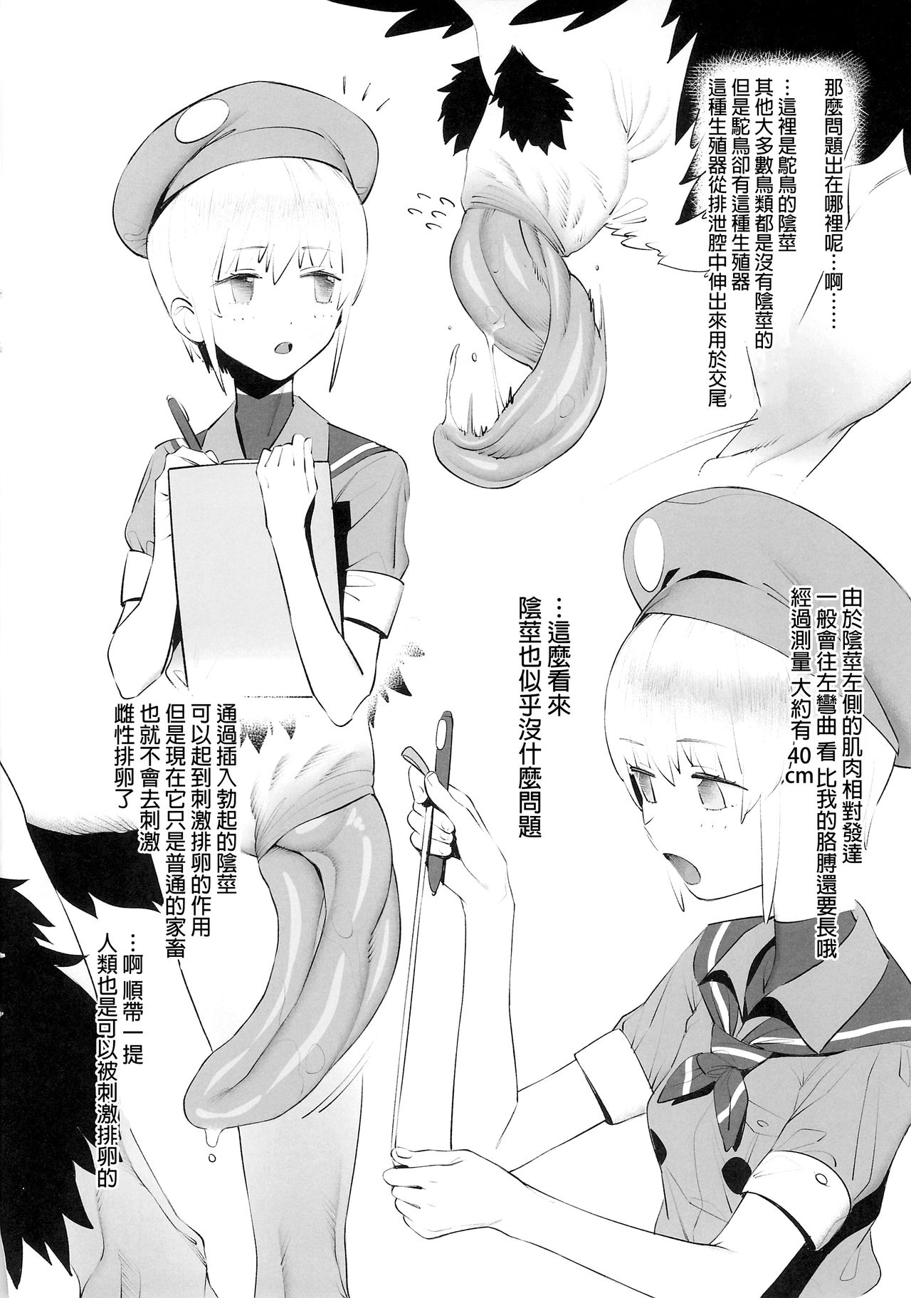 (SC2018 Autumn) [zero-sen (xxzero)] Tori no Kimochi Ii [Chinese] [沒有漢化] page 5 full