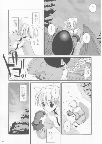 (CR33) [Digital Lover (Nakajima Yuka)] D.L. action 17 (Ragnarok Online) - page 25