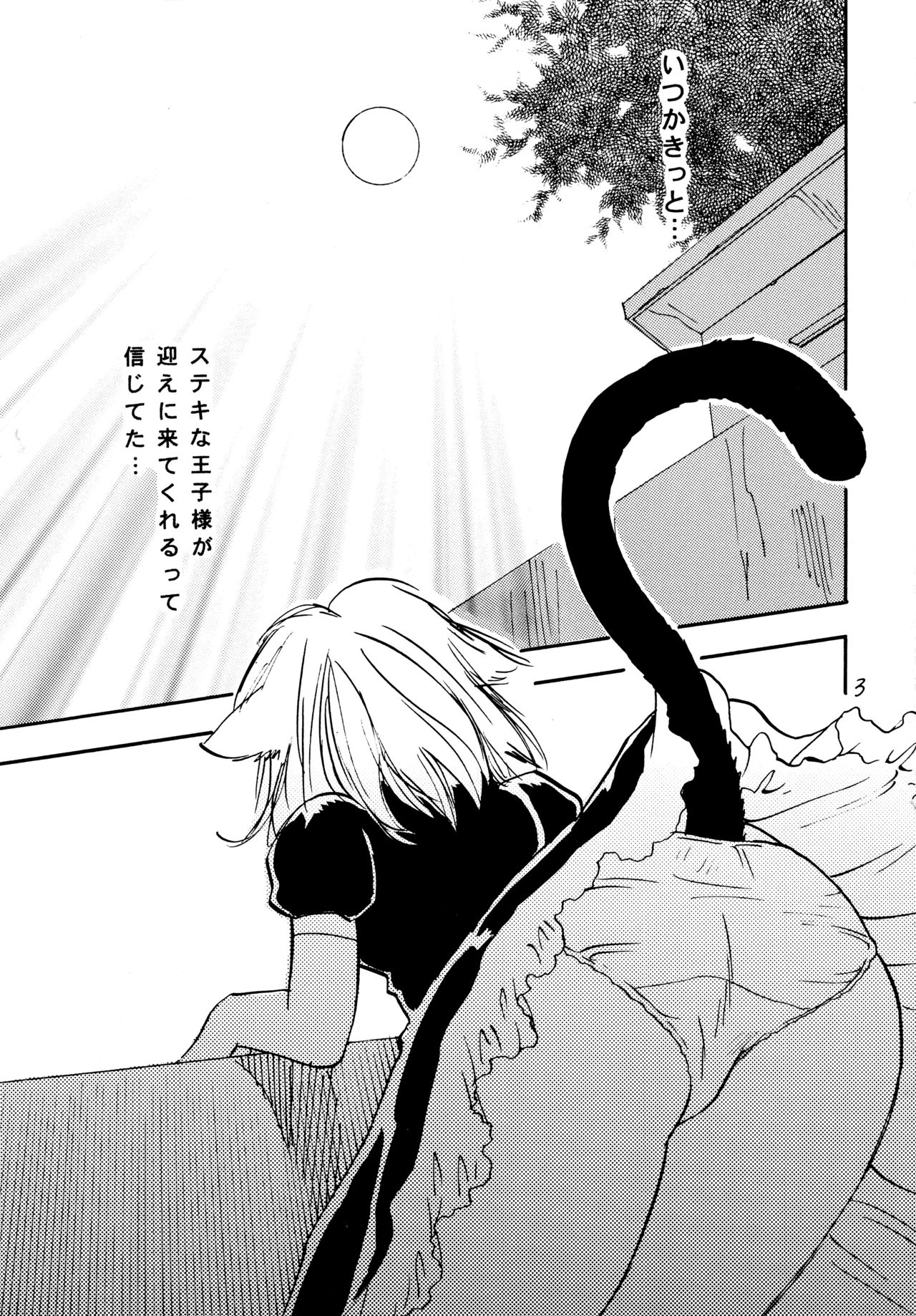 (C68) [RACK&PINION (Iogi Juichi)] Nyan Kororin page 3 full