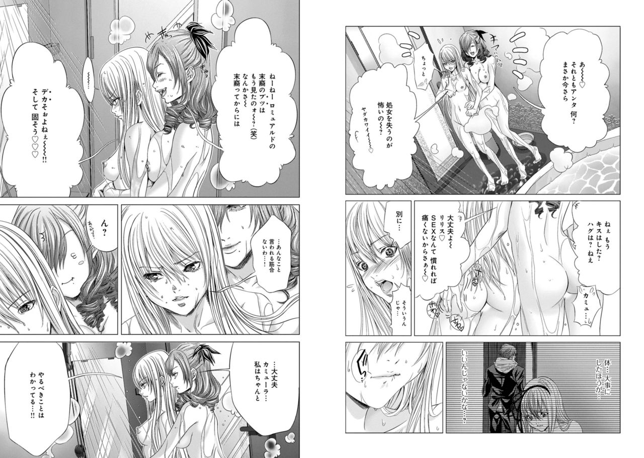 [Miyazaki Maya] Holy Knight ~Junketsu to Ai no Hazama de~ Vol. 3 page 17 full