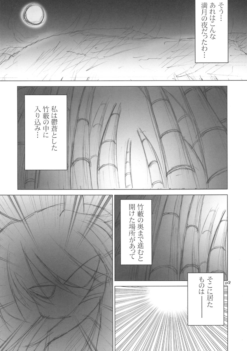 (C67) [GROUND-Zero (Inui)] Meikyou Shisui (Touhou Project) page 3 full