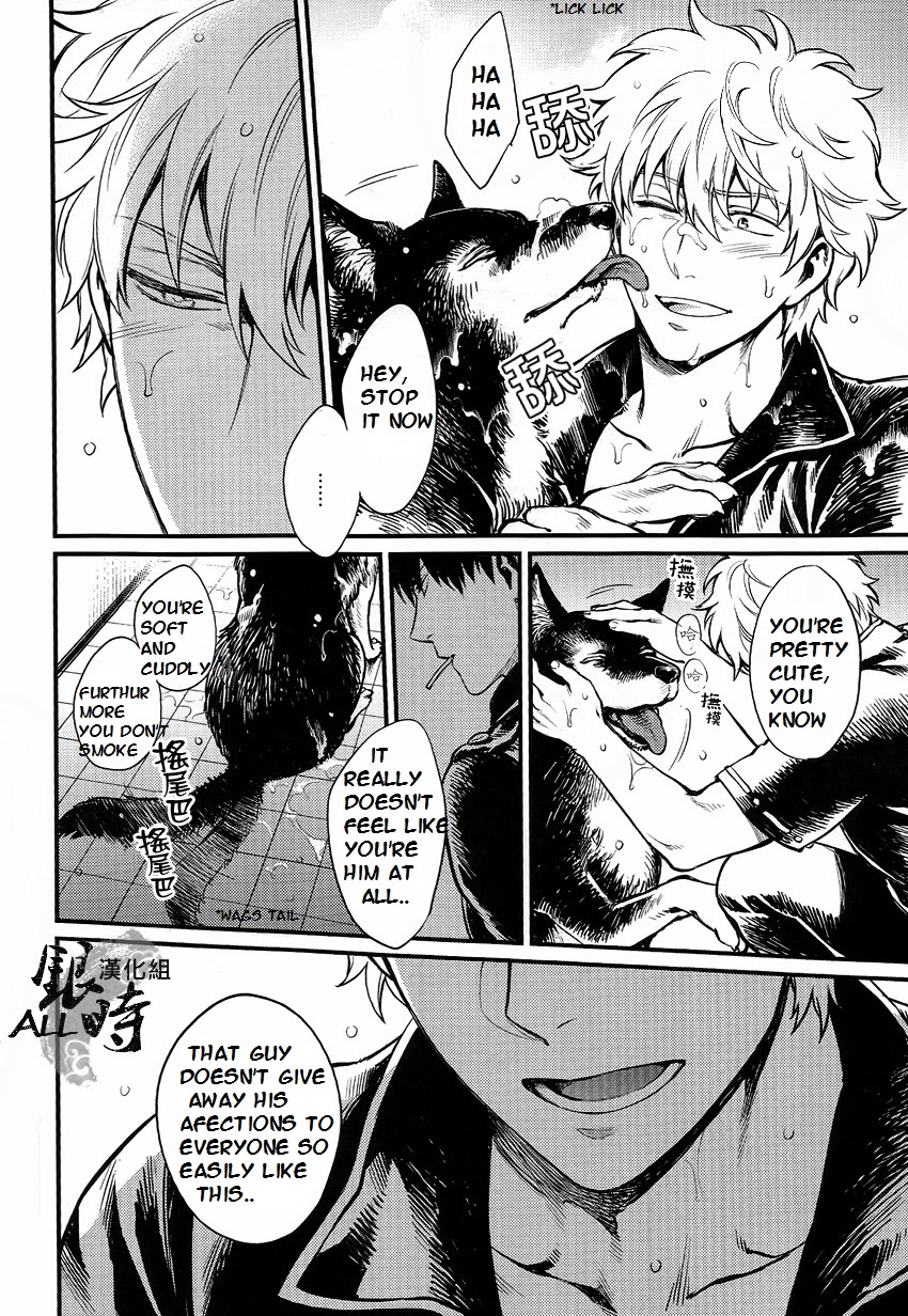 (HaruCC18) [3745HOUSE, tekkaG (MIkami Takeru, Haru)] HOW to SPOIL YOUR DOG (Gintama) [English] [valc21] page 20 full