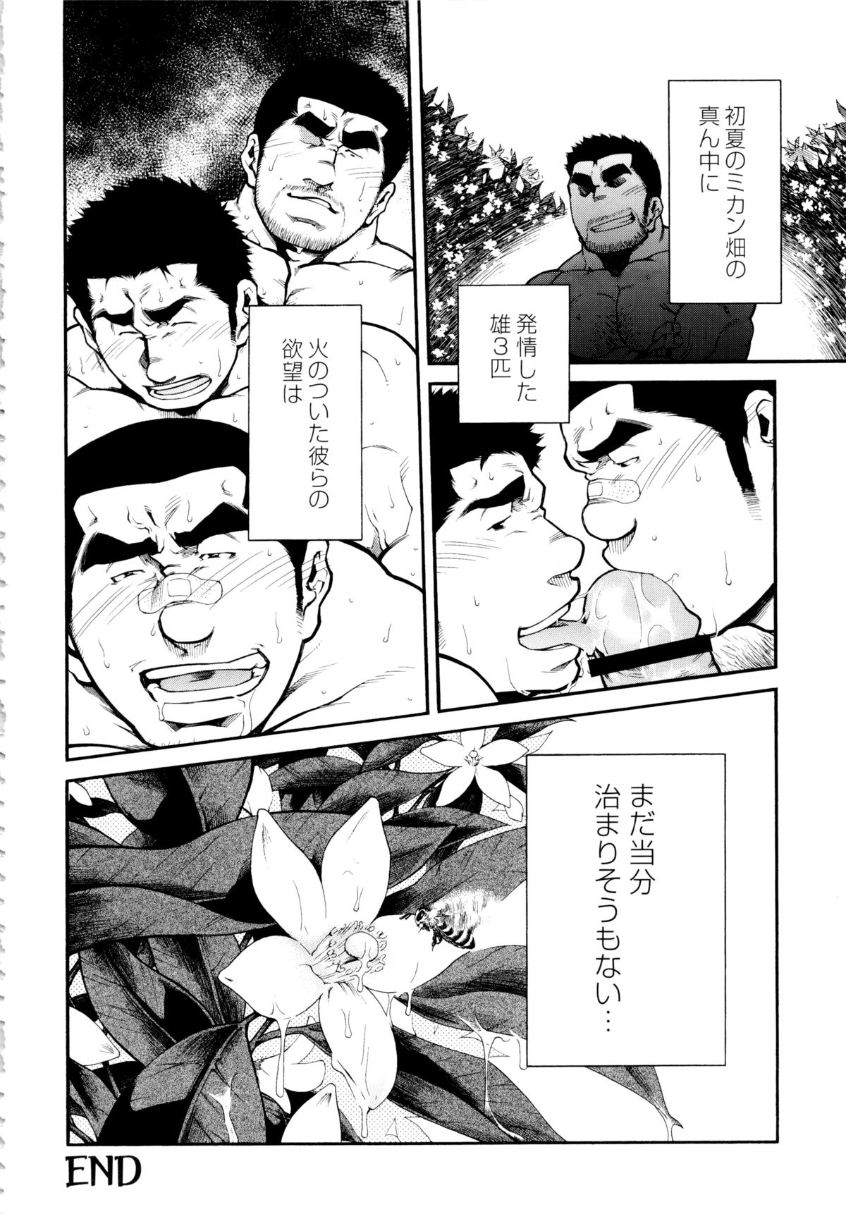 Osu Hachi no Mitsu - by -晃次郎 (Terujirou) page 24 full