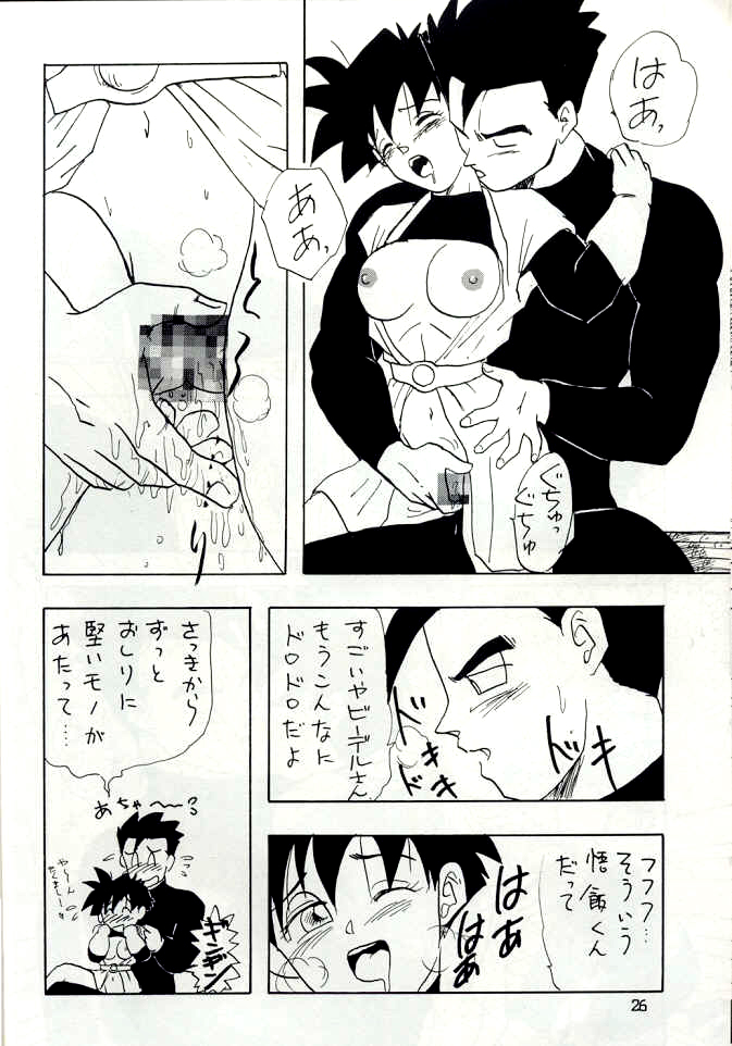 [Chirigami Goya, Fusuma go Ten (Shouji Hariko)] YYY (Dragon Ball) page 26 full