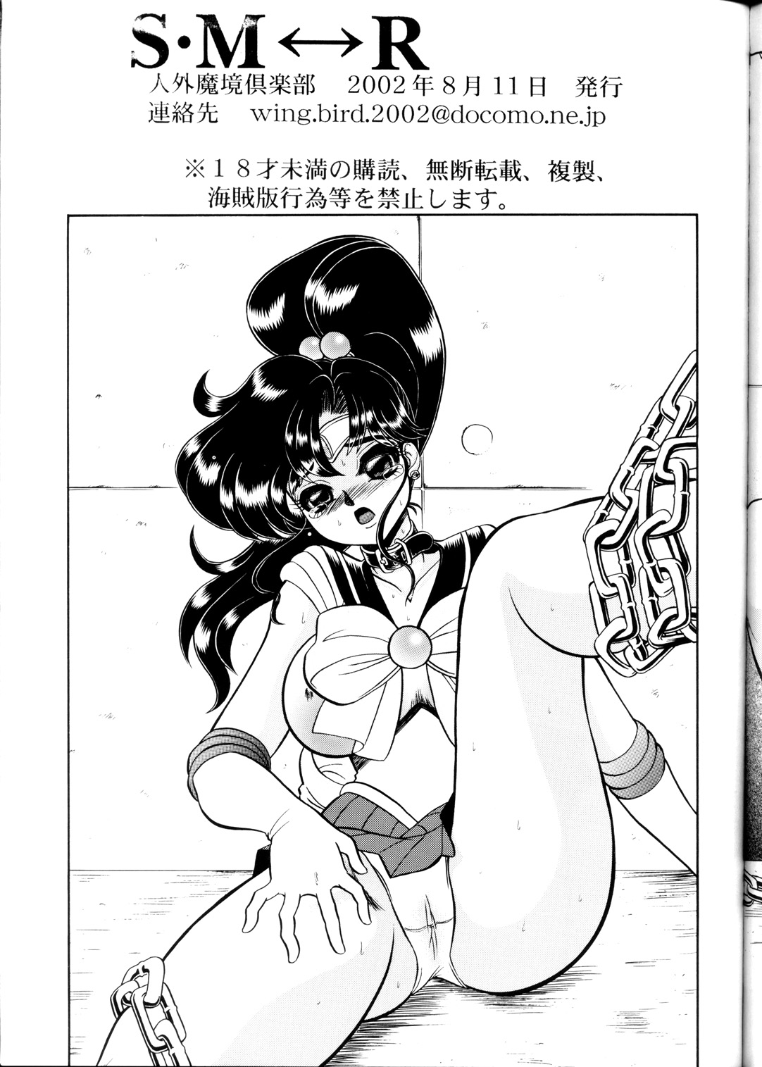 (C62) [Jingai Makyou Club (Wing☆Bird)] S·M↔R (Sailor Moon) page 25 full