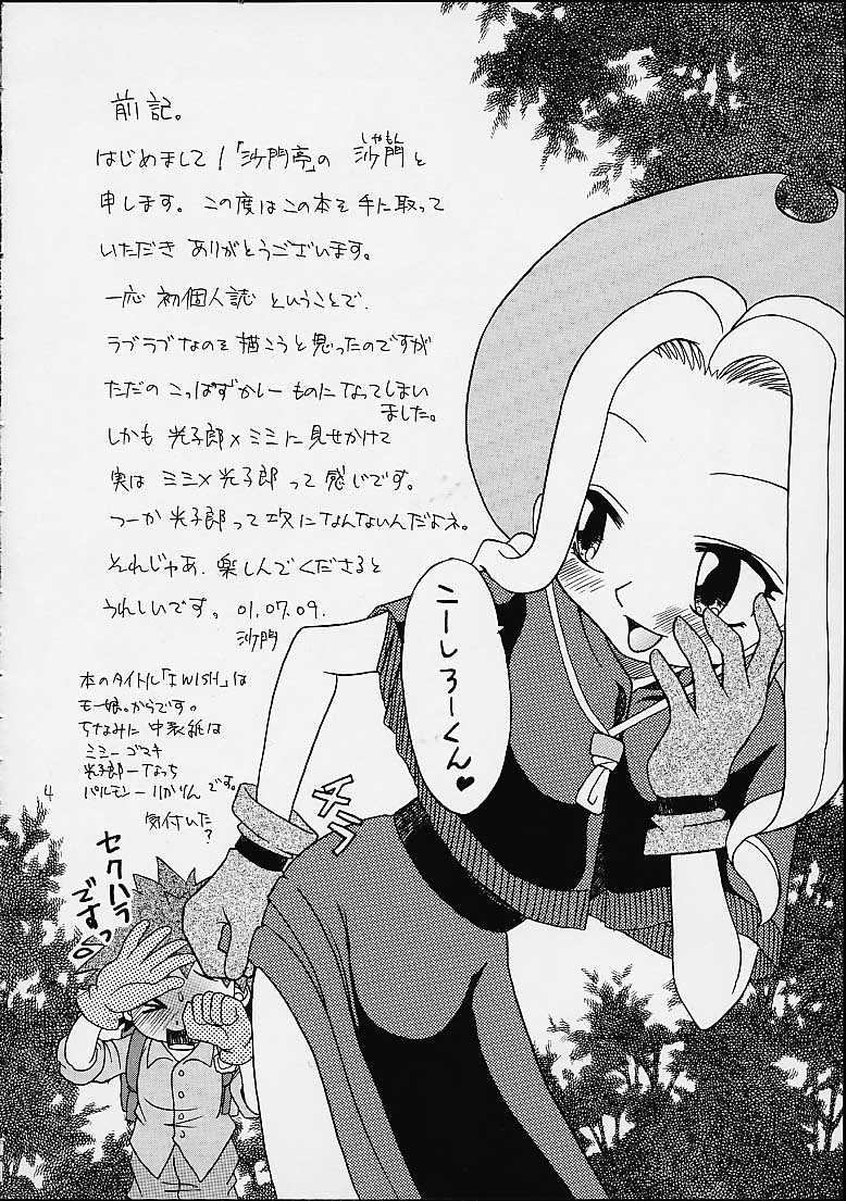(C58)[Shamontei (Shamon)] I WISH (Digimon Adventure) page 3 full