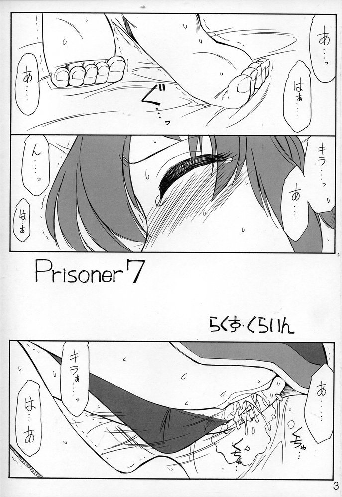 (C69) [EINSATZ GRUPPE (Charlie Nishinaka)] PRISONER 7 The Original Bird (Mobile Suit Gundam SEED Destiny) page 2 full