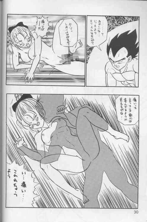 [Dragonball] Okiraku Gokuraku Chou Kairaku page 29 full