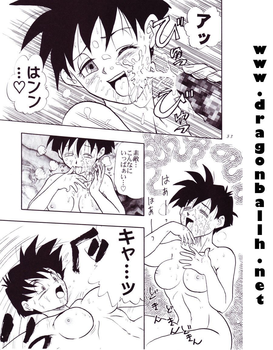 (C54) [Chirigami Goya, Fusuma go Ten (Shoji Hariko)] Tirinuruwo (DRAGON BALL) page 35 full