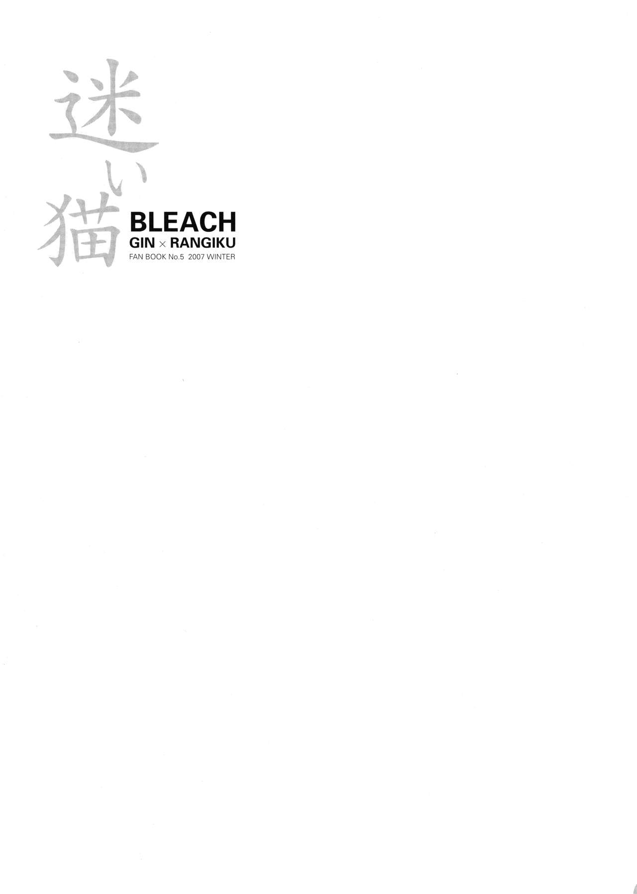 (C73) [Purincho. (Purin)] Mayoi Neko | Stray cat (Bleach) [English] [Echo-chan] page 4 full