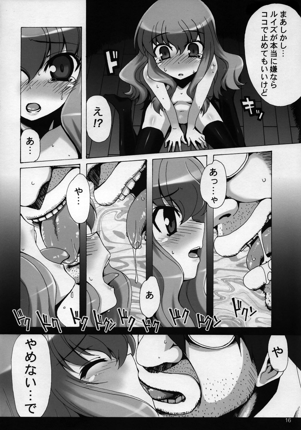 [SION (Hotori)] Boku wa Louise to Sex Suru!! (Zero no Tsukaima) page 17 full