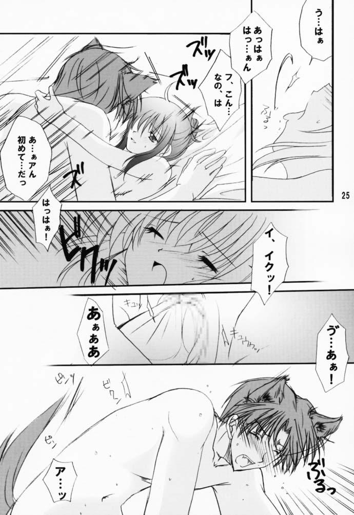 (CR29) [LoveLess (Yuuka Sawatari)] Renai no Kyoukun V (Sister Princess) page 24 full