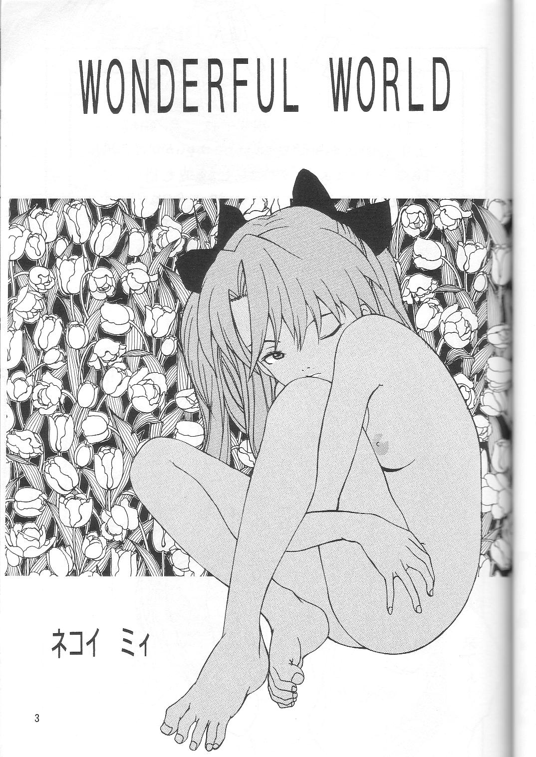 (C53) [Manga Super (Nekoi Mie)] Wonderful World (Neon Genesis Evangelion) page 2 full