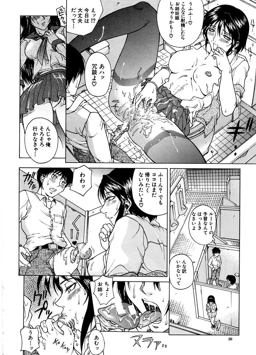 [Akino Hidefumi] Yuuwaku -Seduction- page 27 full