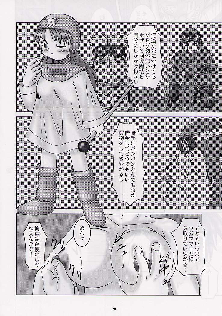 (C57) [GADGET (Various)] DRAGONQUEST nirvana (Dragon Quest) page 27 full