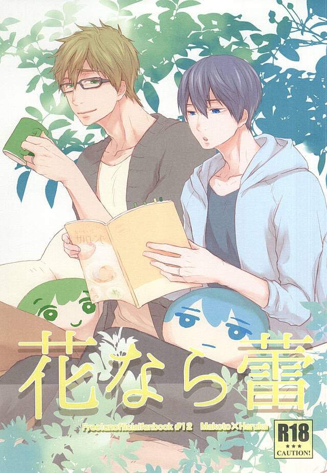 (Splash! 3) [Nympha (Tetsu)] Hana nara tsubomi (Free!) page 1 full