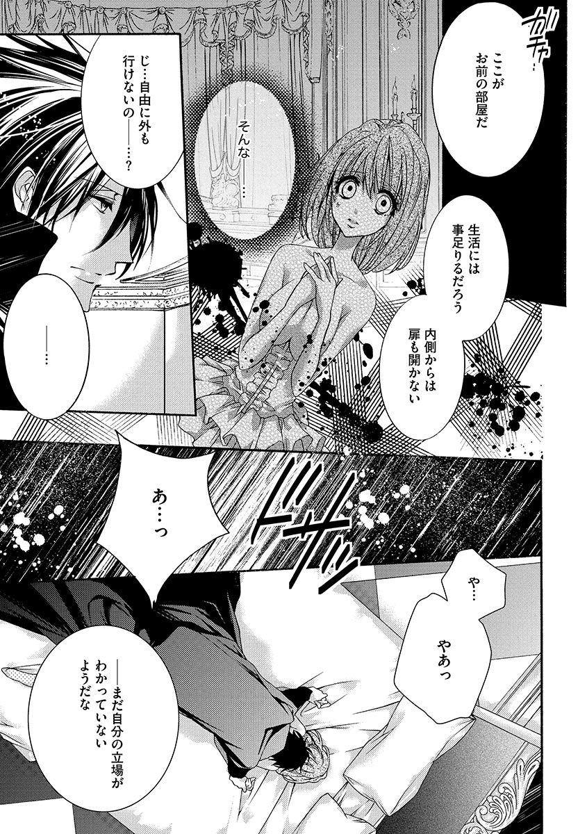 [ゆえこ] 鬼畜兄弟の悶絶調教～私はいいなり奴隷～ page 33 full