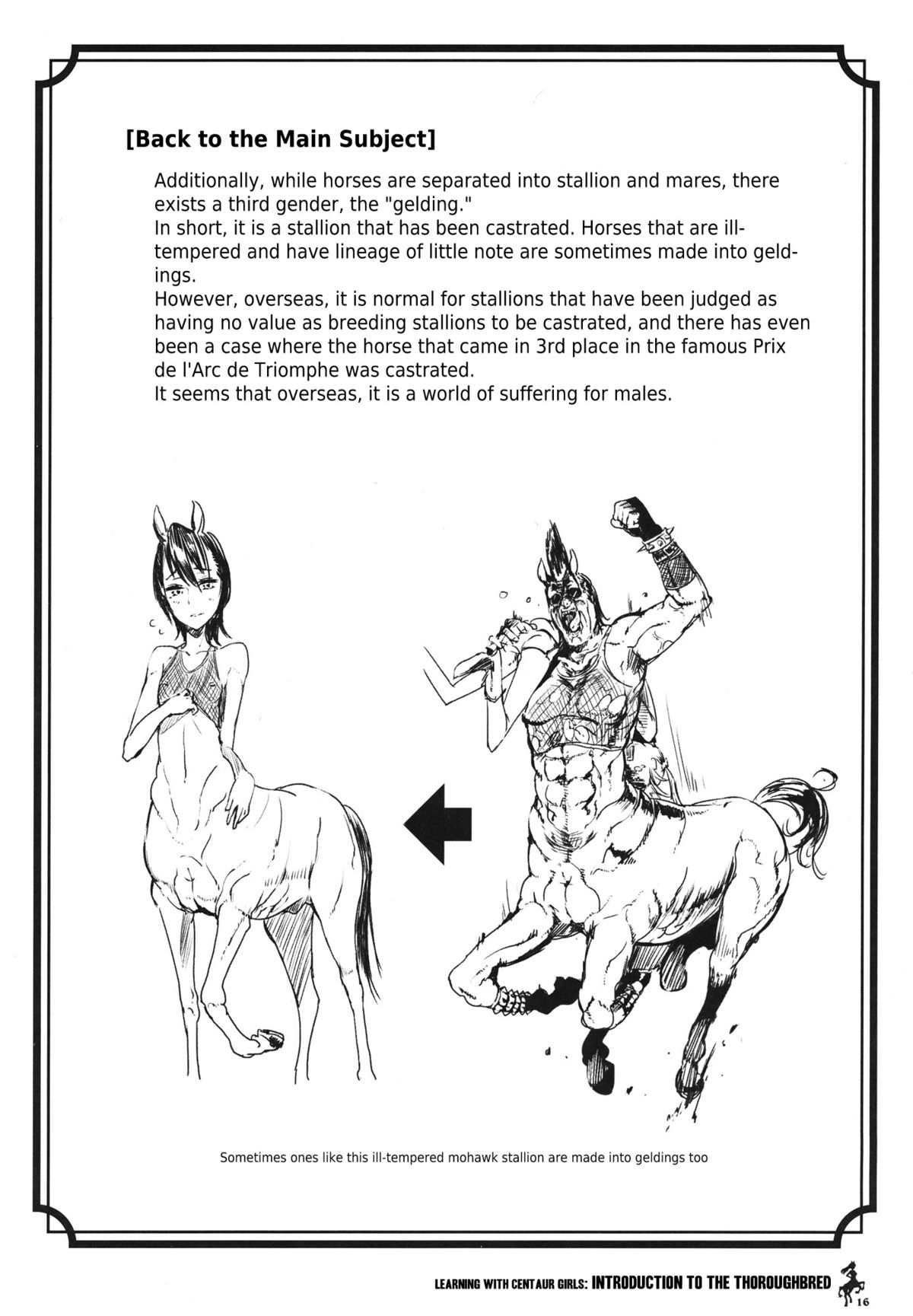 (C83) [Hyakki Yakou (Z-ton)] Centaur Musume de Manabu Hajimete no Thoroughbred | Learning With Centaur Girls: Introduction To The Thoroughbred [English] [4dawgz + Thetsuuyaku] page 15 full