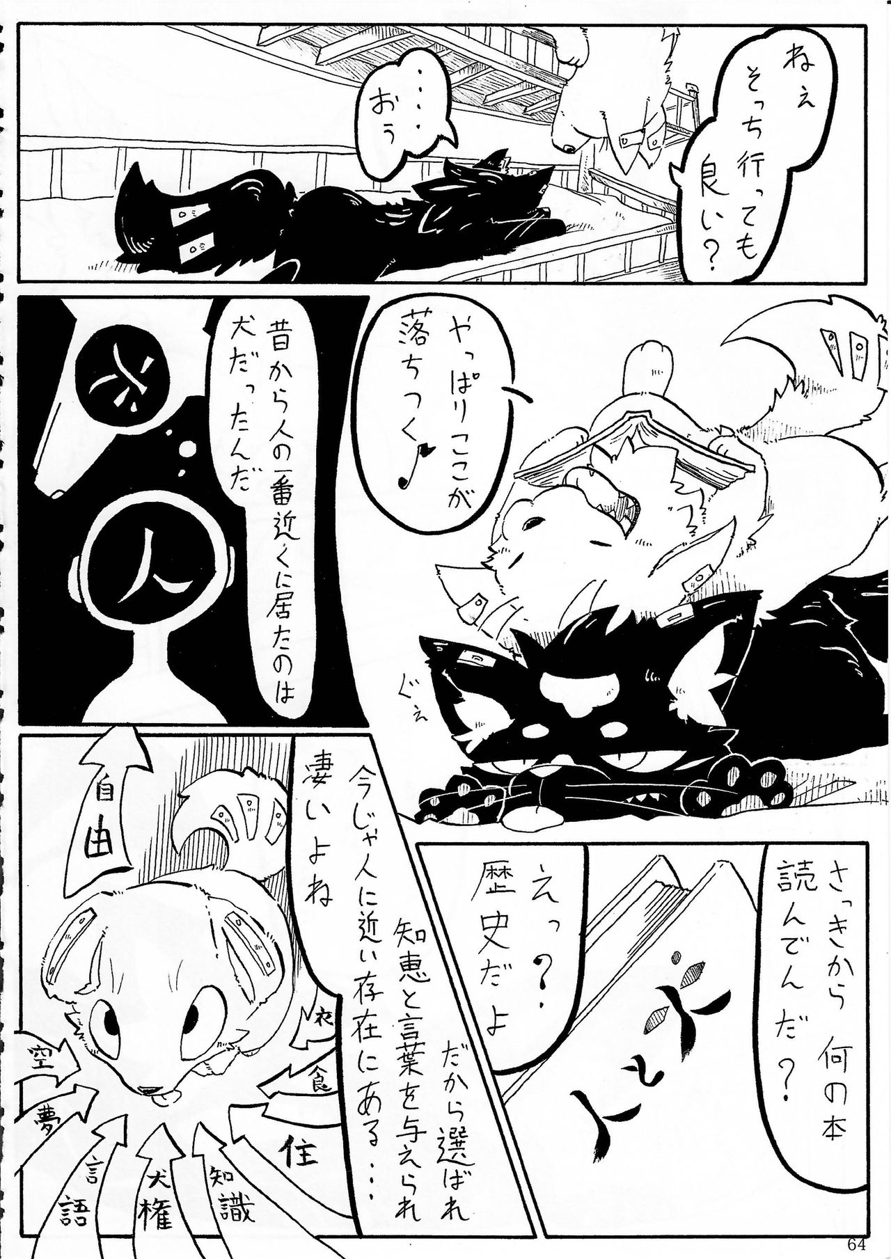 (Kansai! Kemoket 2) [KTQ48 (Various)] KTQ 5 page 51 full