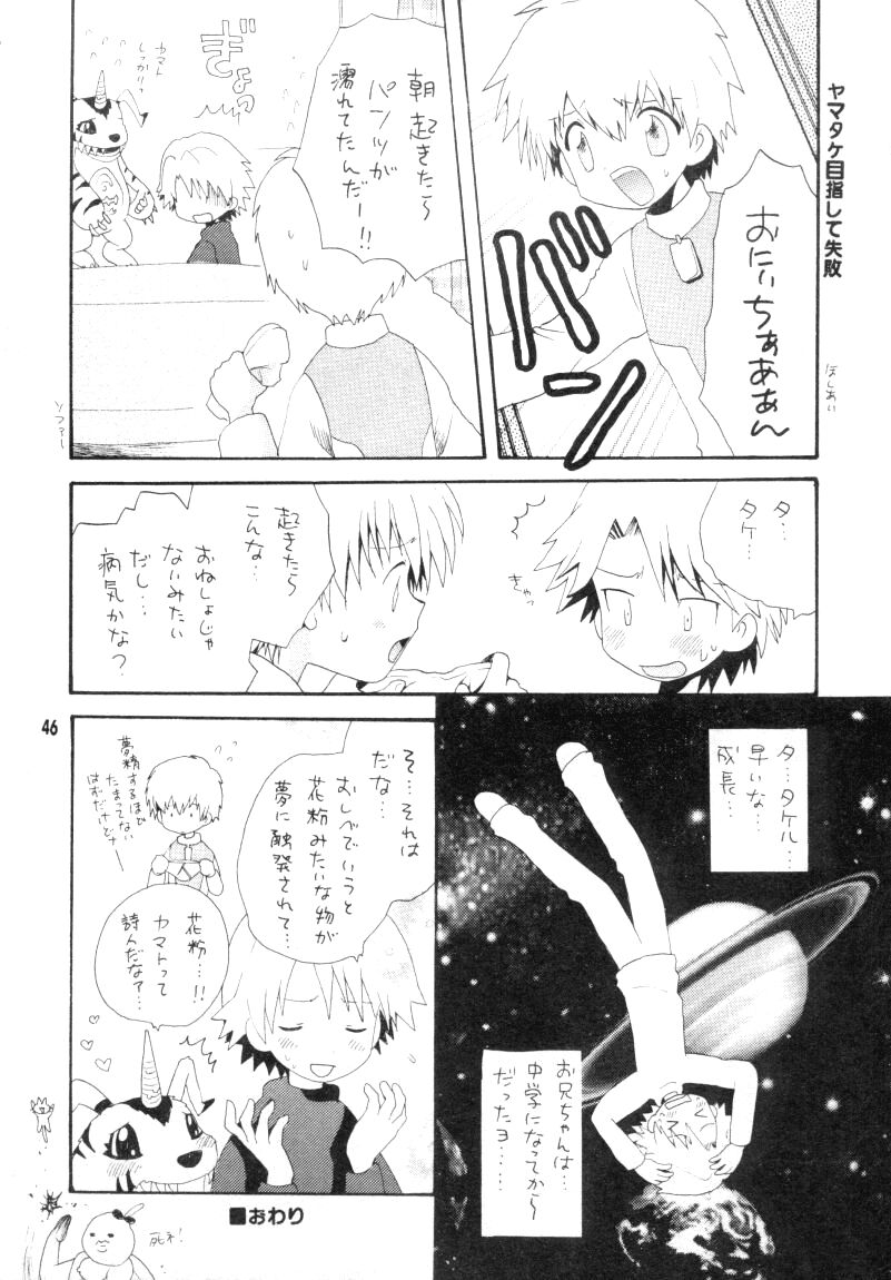 (CCTokyo96) [Haniwa Mania, Kuruguru DNA (Pon Takahanada, Hoshiai Hiro)] Bokura No Jogress World (Digimon Adventure 02) page 46 full