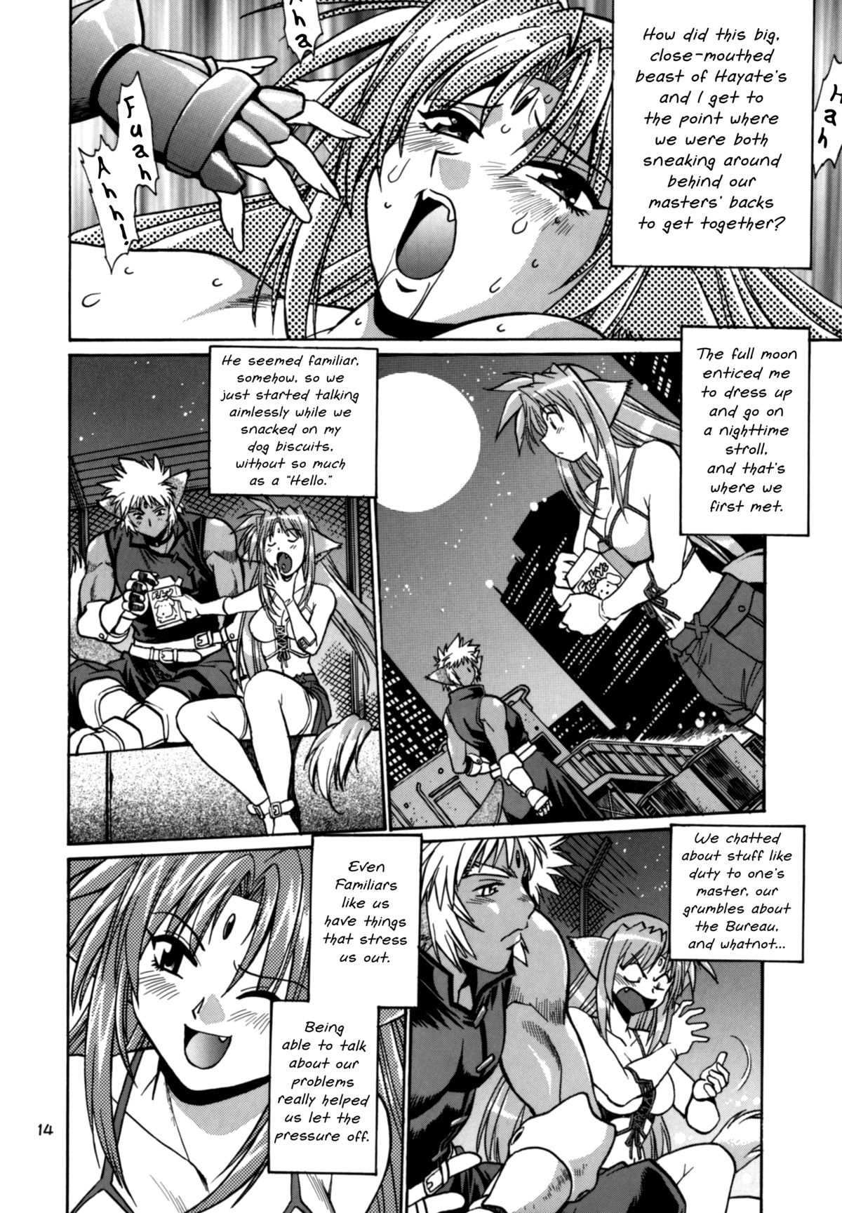 (SC34) [Studio Katsudon (Manabe Jouji)] Kemonotachi no Bansan (Mahou Shoujo Lyrical Nanoha) [English] page 14 full