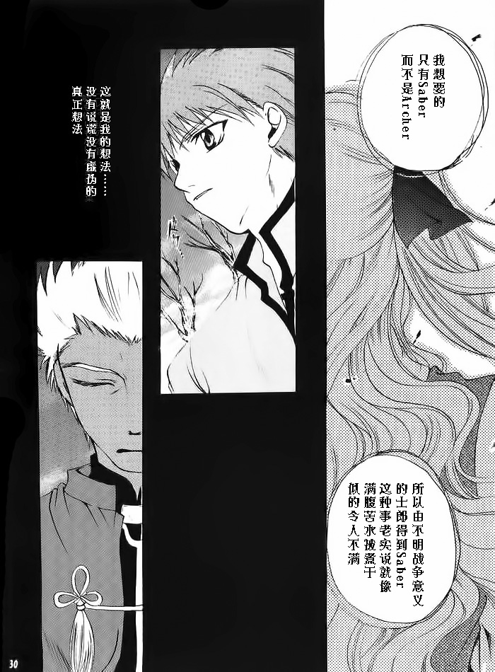 (Mimiket 10) [RED DATA BOOK (Amano Ryuuki)] Albireo (Fate stay night) [Chinese] page 27 full