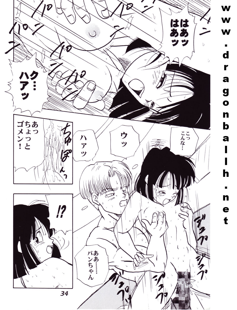 (C52) [Fusuma Goten (Shouji Hariko)] Irohani (Dragonball Z) page 34 full