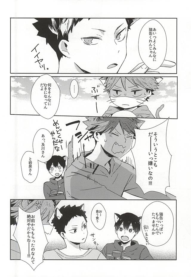 (RTS!!5) [Shounen-H (Yuuki)] Neko ni Natta Oikawa-san (Haikyuu!!) page 5 full