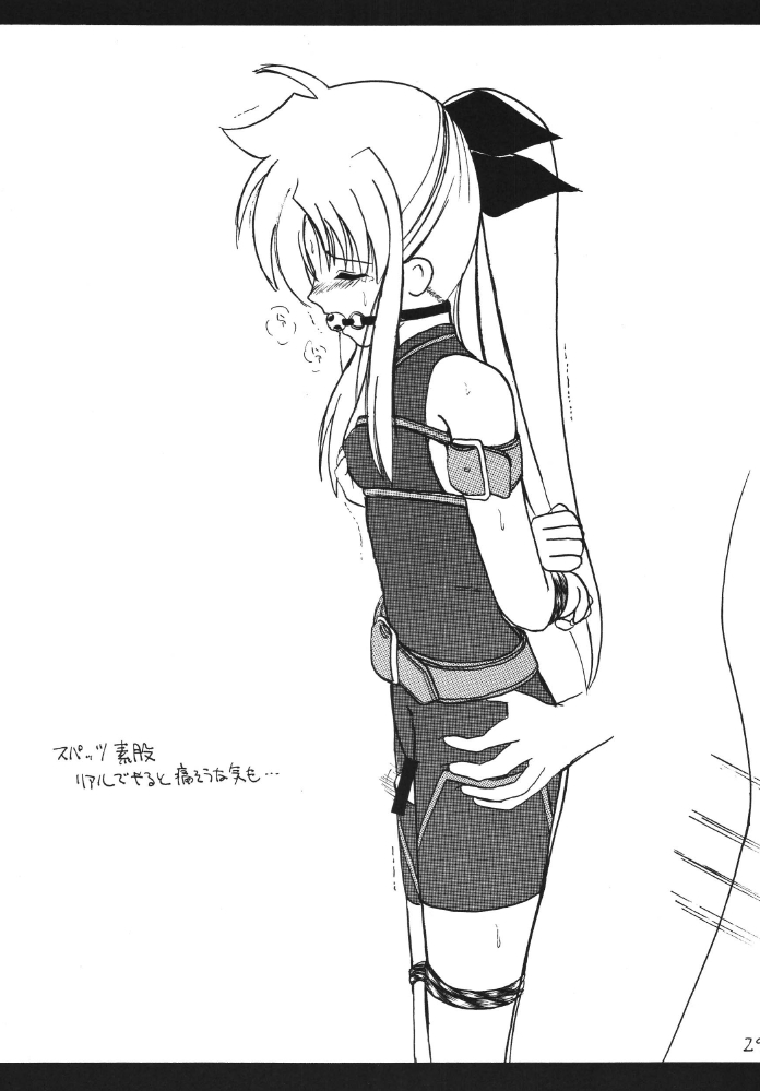 [Thirty Saver Street 2D Shooting] Storage Ignition (Mahou Shoujo Lyrical Nanoha / Magical Girl Lyrical Nanoha) page 29 full