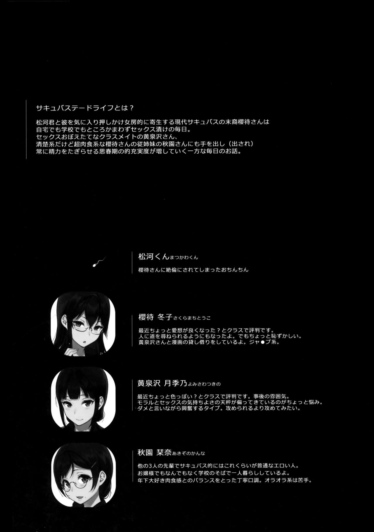 (C90) [NANIMOSHINAI (Sasamori Tomoe)] Succubus Stayed Life 4 [English] {doujins.com} page 3 full