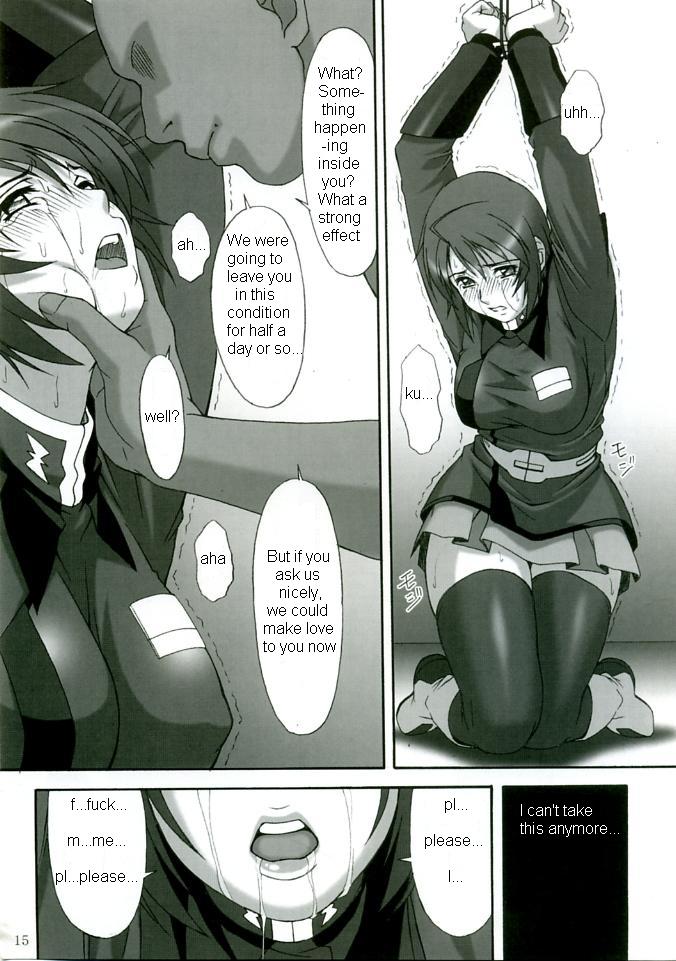 (C68) [AKKAN-Bi PROJECT (Yanagi Hirohiko)] RED BRAVO (Mobile Suit Gundam SEED Destiny) [English] [Hentaidoujins] page 14 full