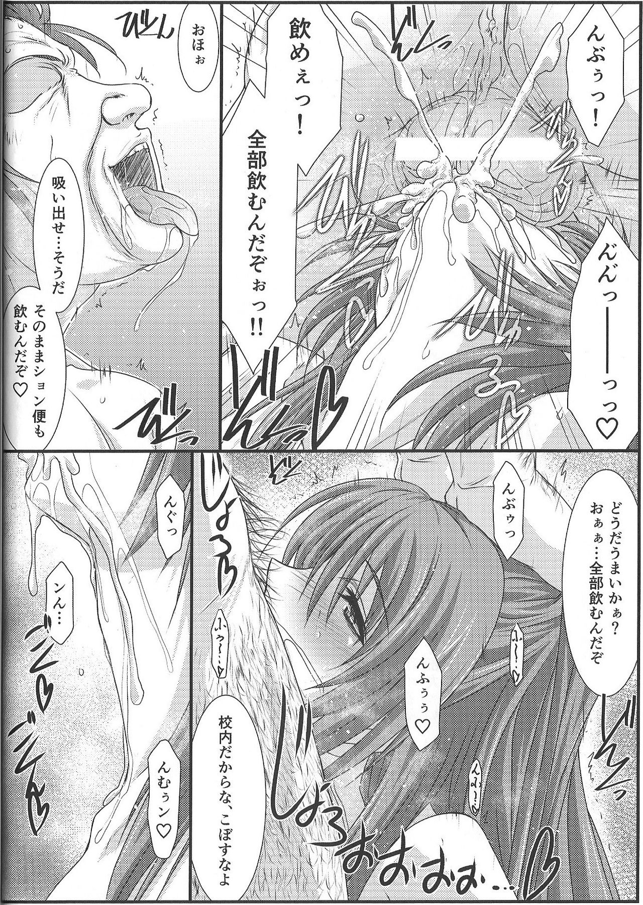 (C91) [STUDIO TRIUMPH (Mutou Keiji)] Astral Bout Ver.35 (To Heart 2) page 17 full