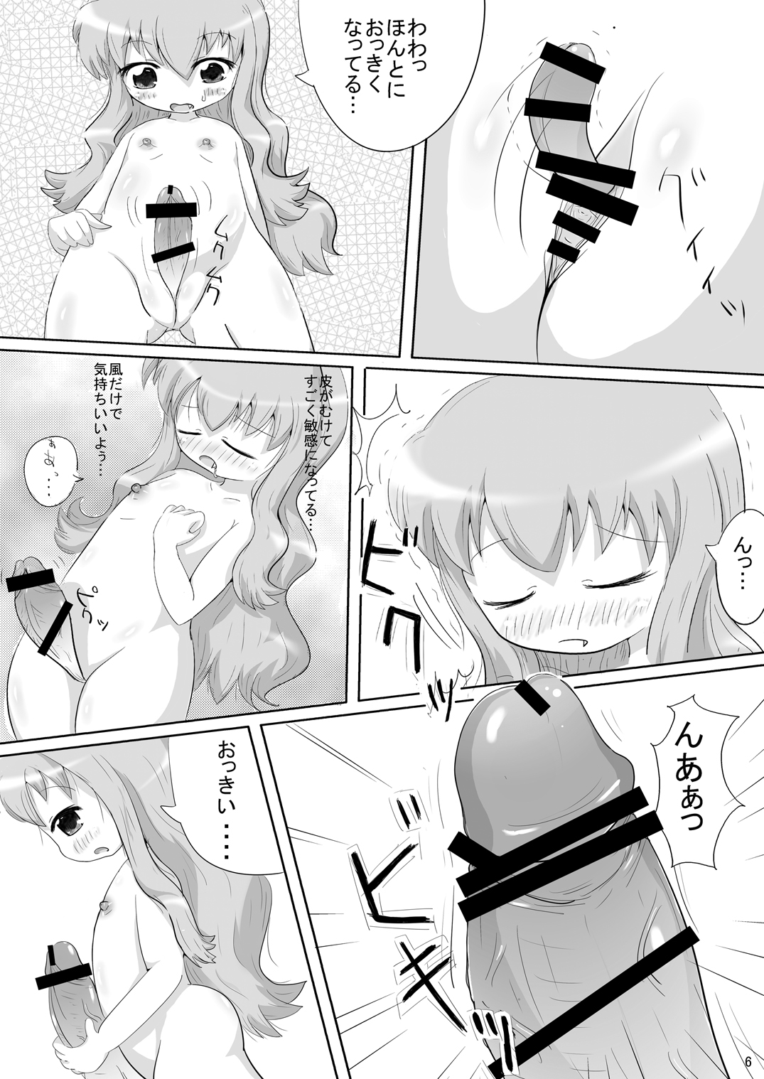 (C76) [A Minor (Katsuki)] Bitch no Tsukaima (Zero no Tsukaima) page 5 full